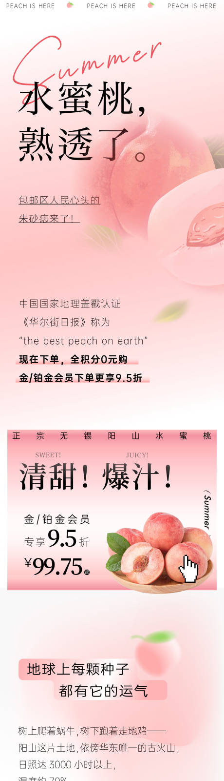 源文件下载【水蜜桃介绍长图】编号：90820011768565933