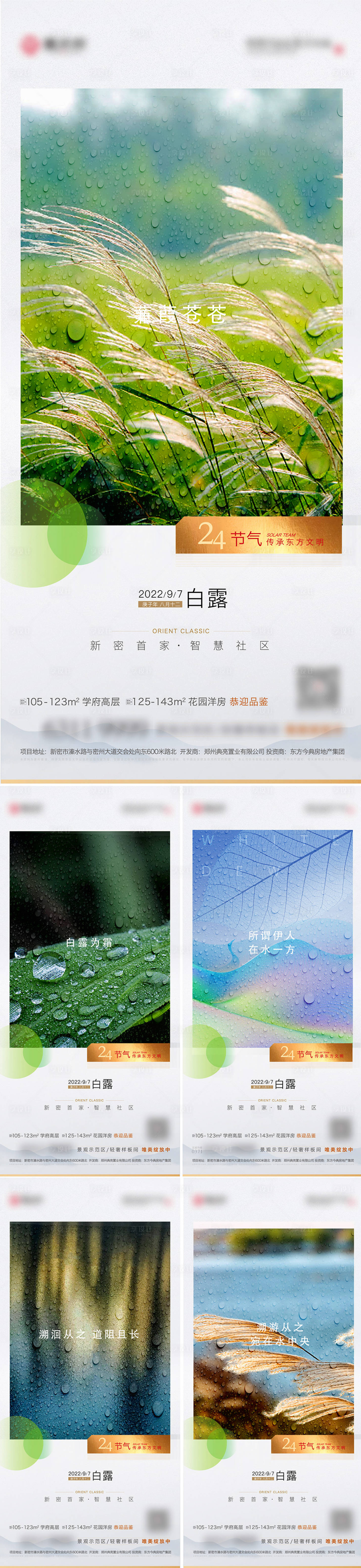 源文件下載【享設(shè)計(jì)】搜索編號(hào)：93710011966127987【白露節(jié)氣系列海報(bào)】