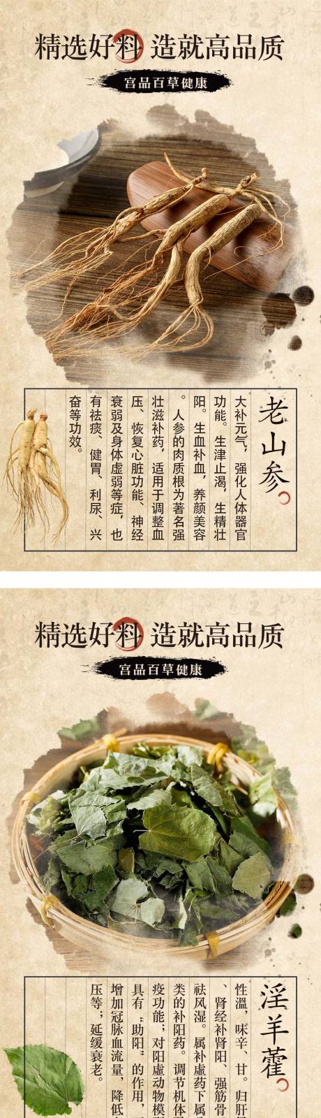 源文件下载【中药材宣传海报】编号：50430011825575344