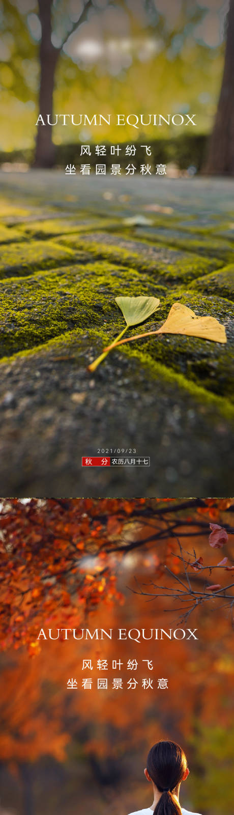源文件下载【地产秋分节气海报】编号：35790011796716783