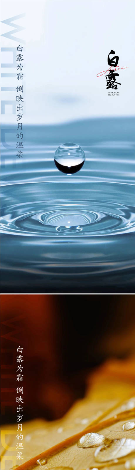 源文件下载【享设计】搜索编号：89720011406611499【白露海报】