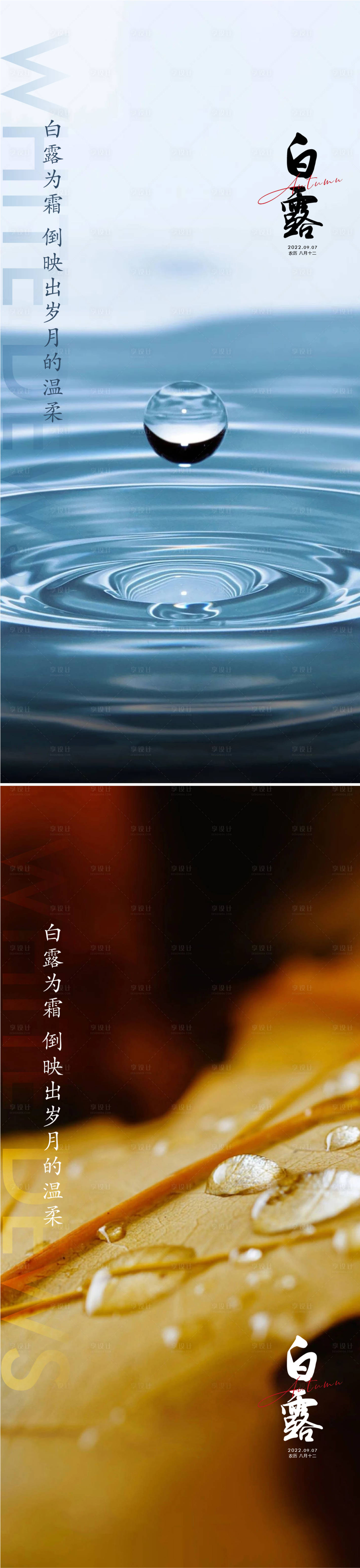 源文件下载【享设计】搜索编号：89720011406611499【白露海报】