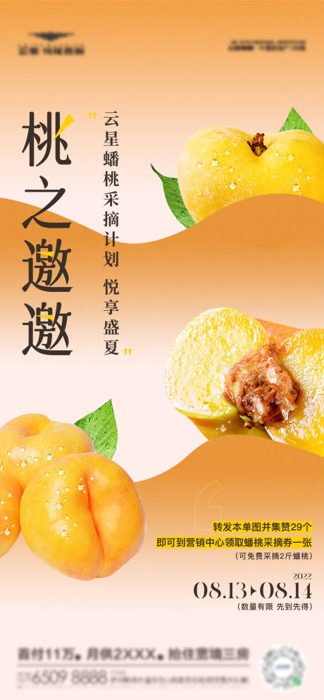 源文件下载【采摘蟠桃活动海报】编号：39940011755763834