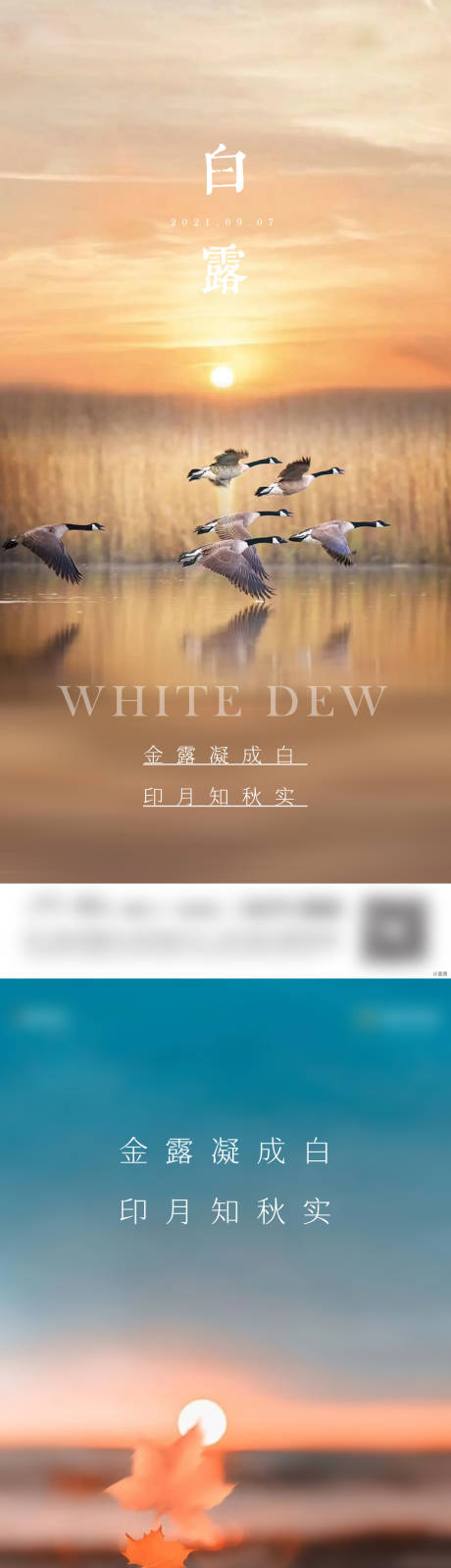 源文件下載【享設(shè)計(jì)】搜索編號：49410011488462082【白露節(jié)氣單圖】