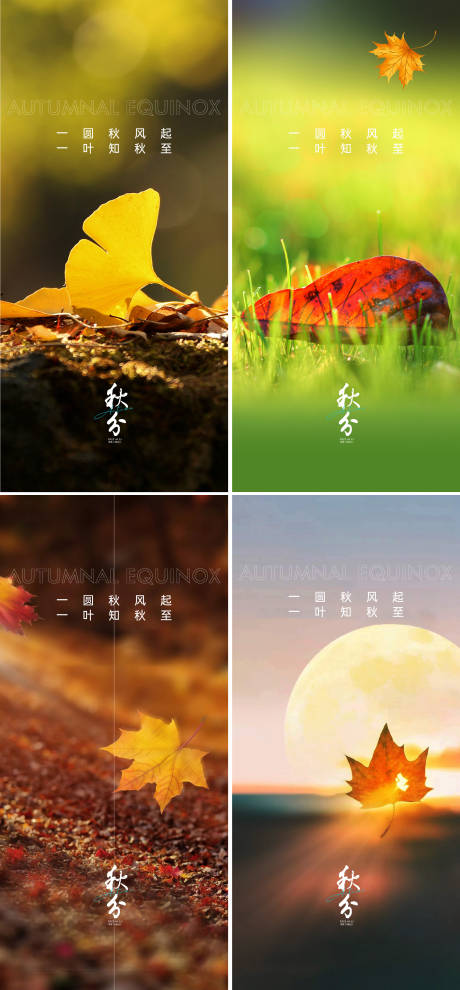 源文件下载【秋分海报】编号：93190011797566199