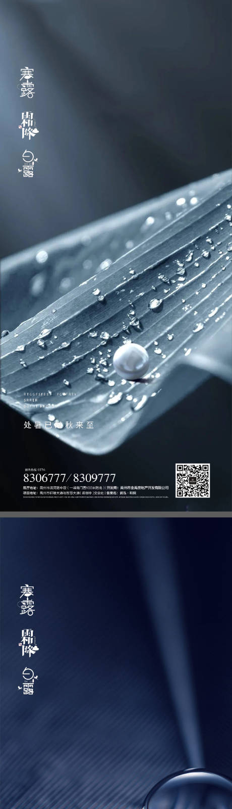 源文件下载【白露寒露霜降节日系列海报】编号：36520011905615078