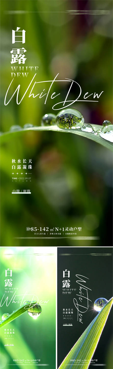 源文件下载【地产白露寒露海报】编号：80260011587352199