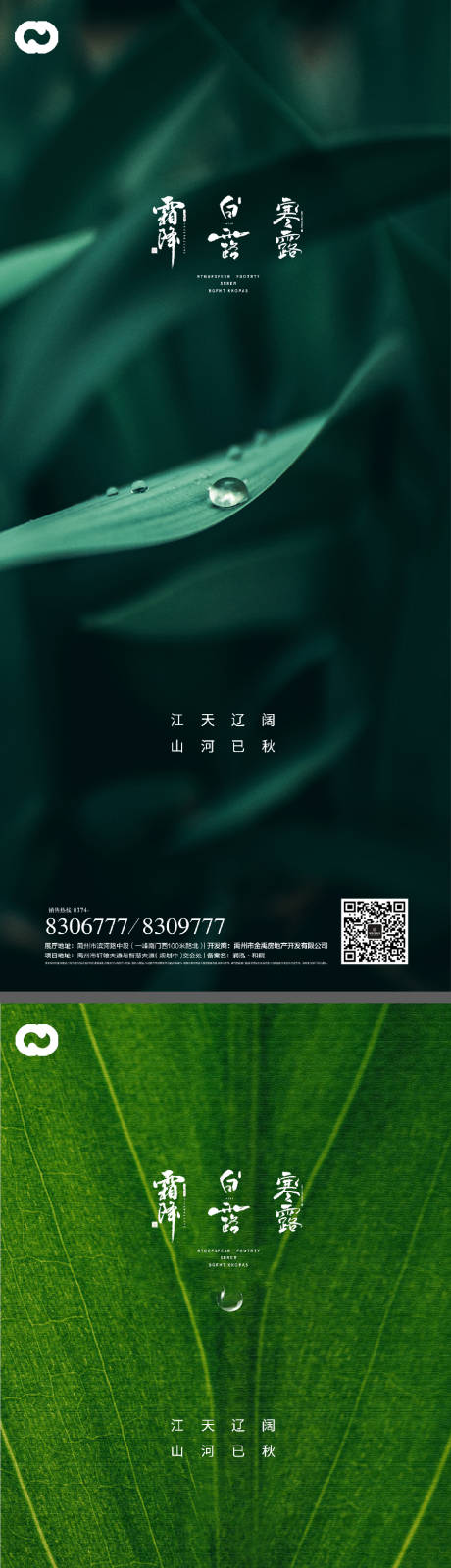 白露寒露霜降节日系列海报-源文件【享设计】