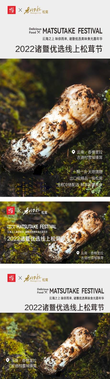 源文件下载【松茸美食节活动海报】编号：14700011478199780