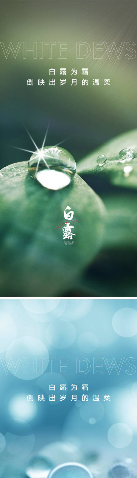 源文件下载【白露节气海报】编号：77070011449344667