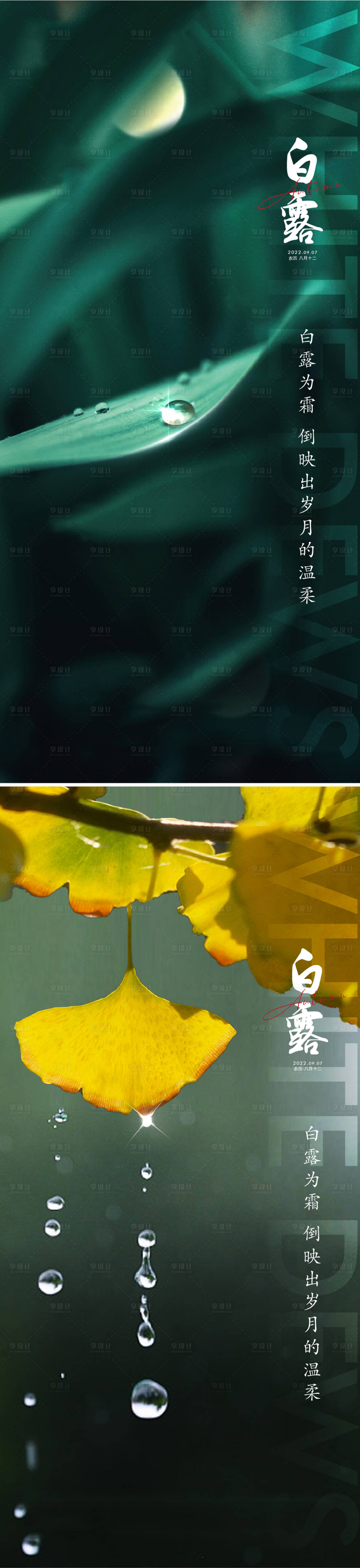 源文件下載【享設(shè)計(jì)】搜索編號(hào)：41230011406599782【白露海報(bào)】