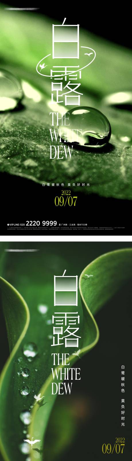 源文件下載【地產白露節氣海報】編號：86190011806371020