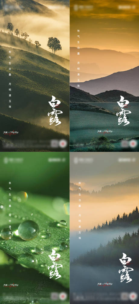 源文件下载【地产白露海报】编号：55480011829279458