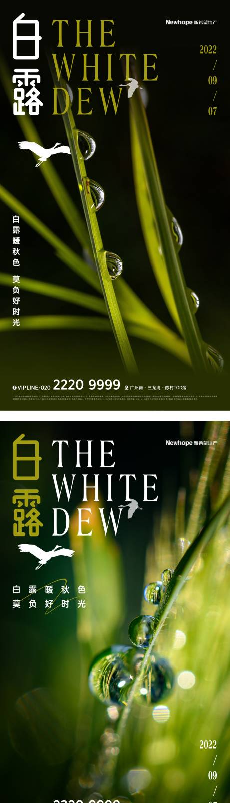源文件下載【地產白露節氣海報】編號：27500011696272705