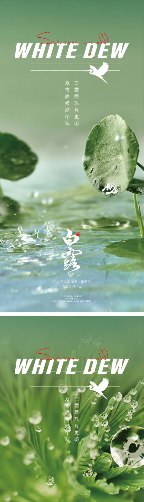 源文件下载【白露海报 】编号：55370011963922325