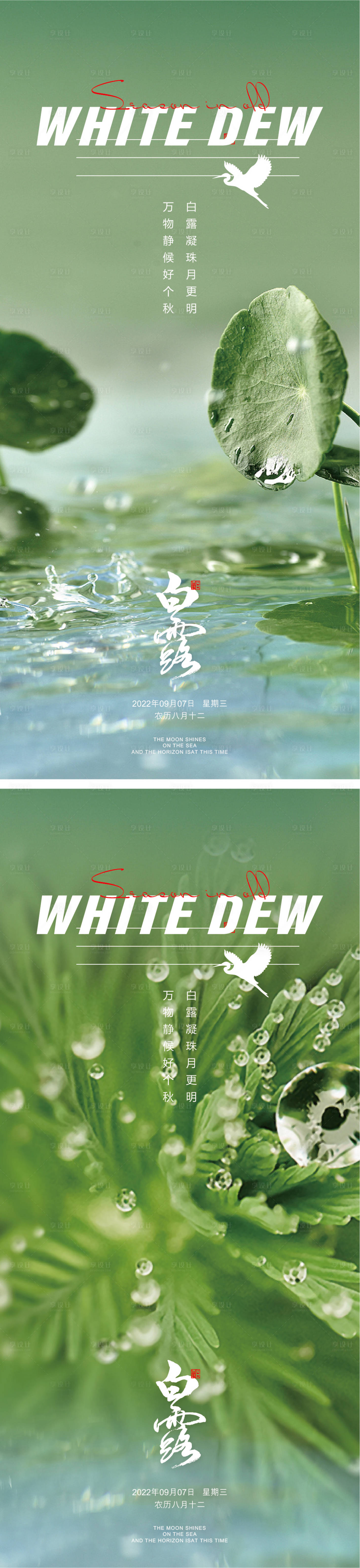 源文件下載【享設計】搜索編號：55370011963922325【白露海報 】
