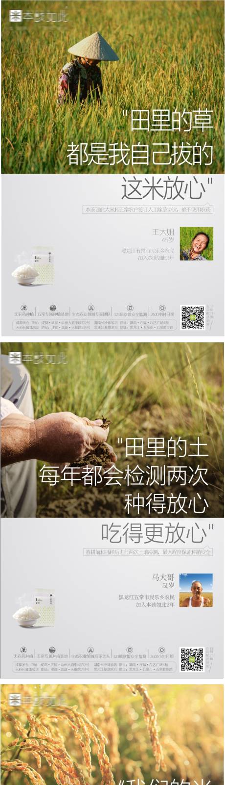 本该如此大米系列价值海报