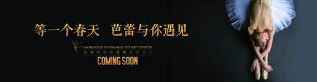 源文件下载【芭蕾舞蹈活动背景板】编号：54740011842473734