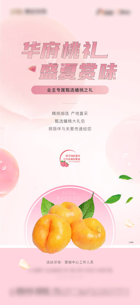 源文件下载【贵府桃礼 】编号：46290011686854528