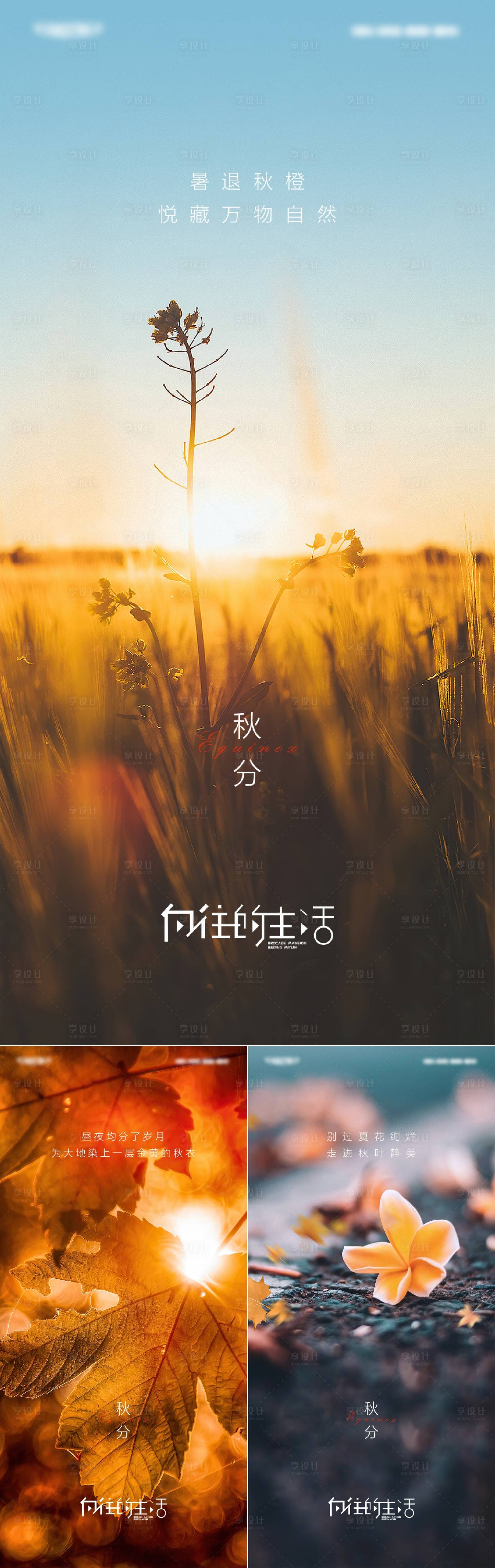 源文件下载【享设计】搜索编号：69040011797953444【地产秋分海报】