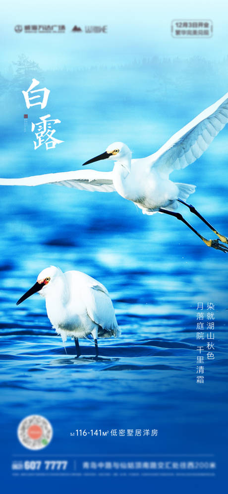 源文件下載【享設計】搜索編號：24730011808752015【白露節氣海報】