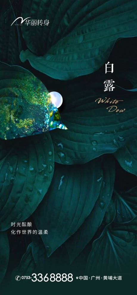 源文件下載【白露節氣海報】編號：40490011947313308