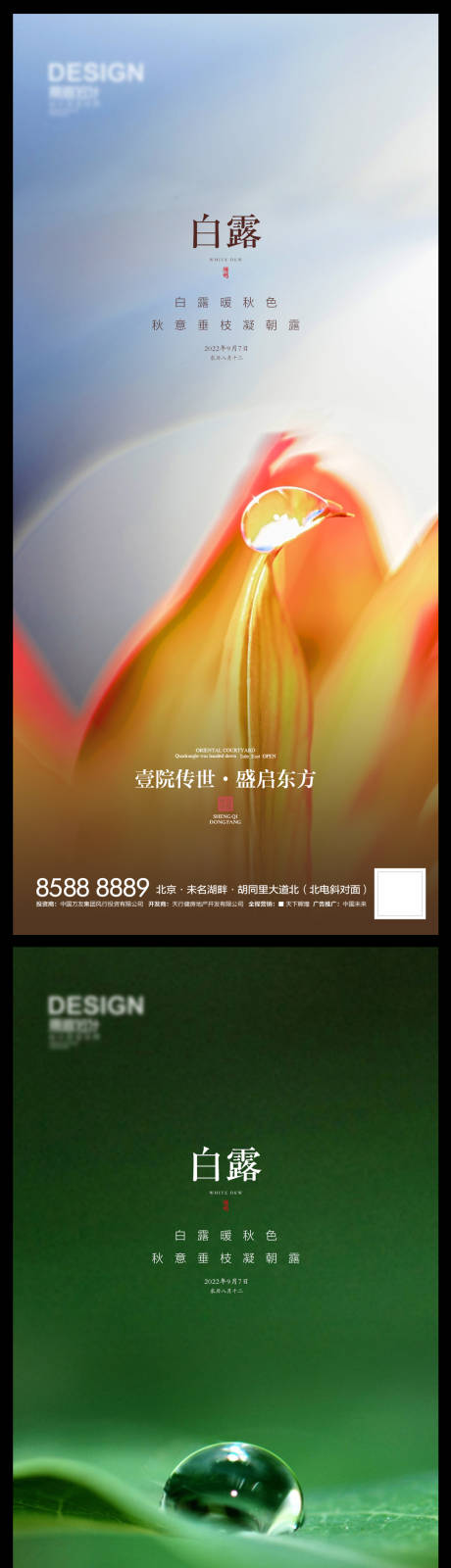 源文件下載【享設計】搜索編號：15700012037223749【白露海報】