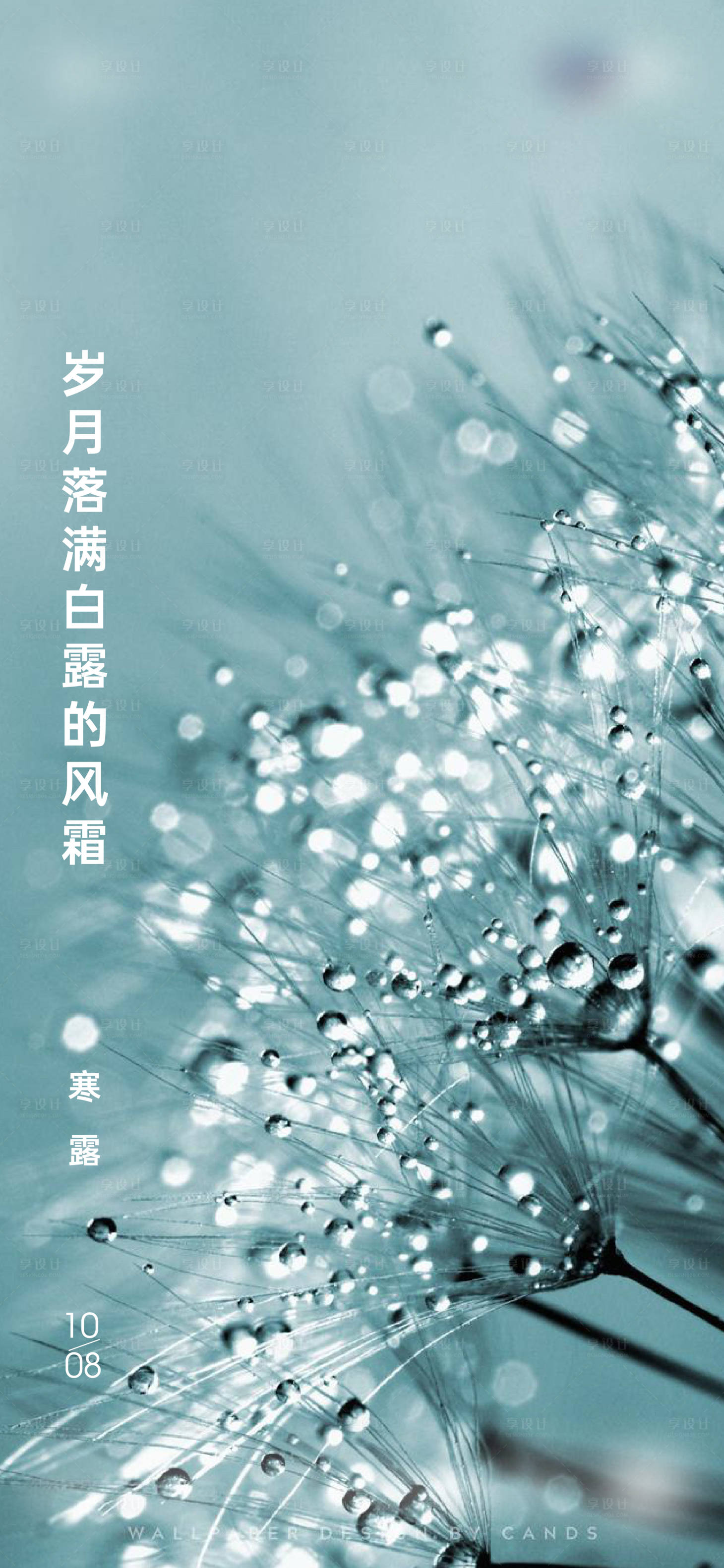 源文件下载【享设计】搜索编号：55720012497662921【寒露节气】