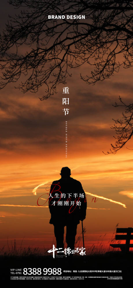 源文件下载【重阳节海报单图】编号：31730012453057405
