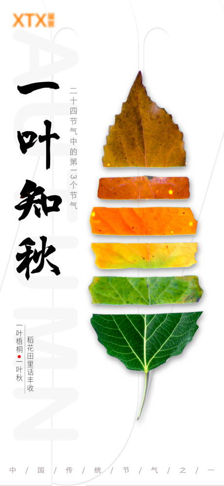 源文件下载【一叶知秋节气海报】编号：96220012467839482