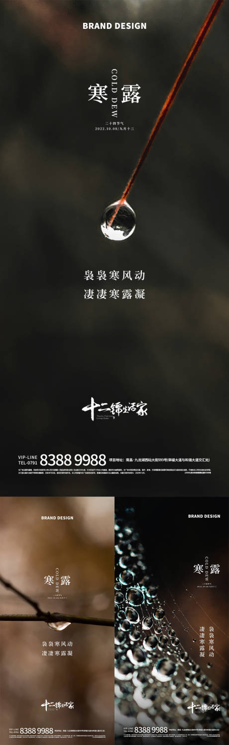 源文件下載【寒露節氣系列海報】編號：38040012454866076