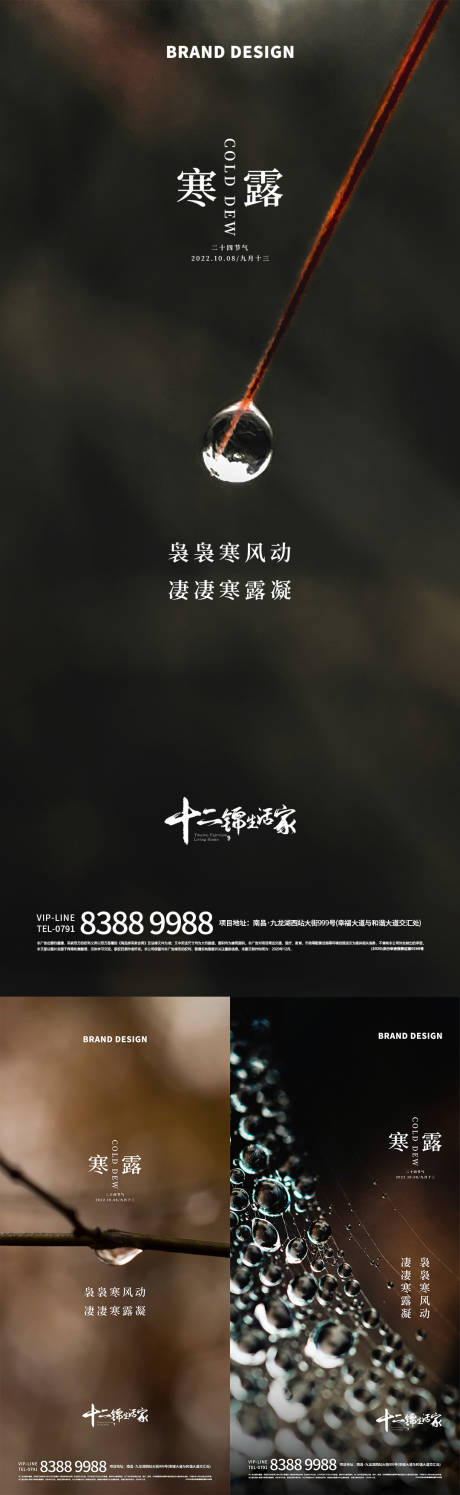 寒露节气系列海报-源文件【享设计】