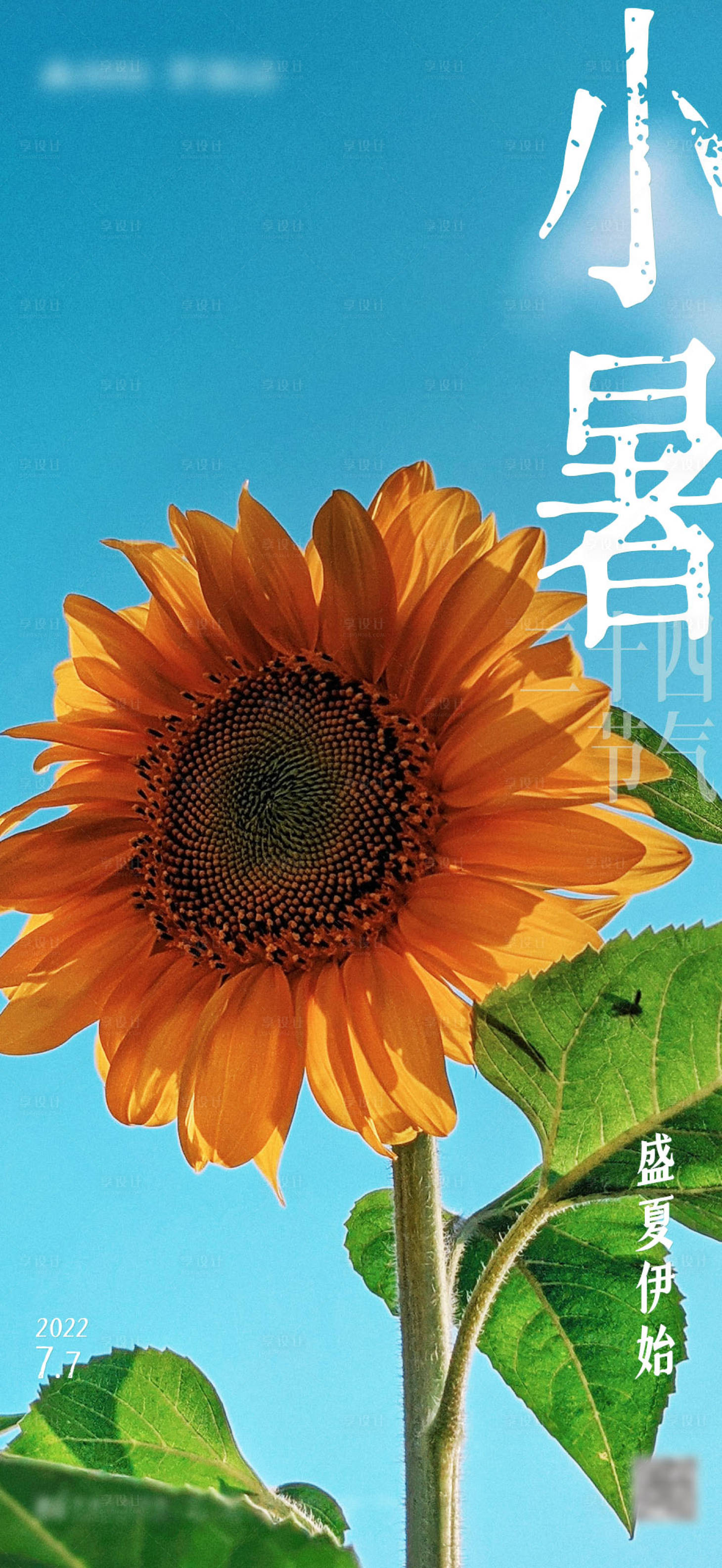 源文件下載【享設(shè)計(jì)】搜索編號(hào)：75380012108595503【二十四節(jié)氣小暑】