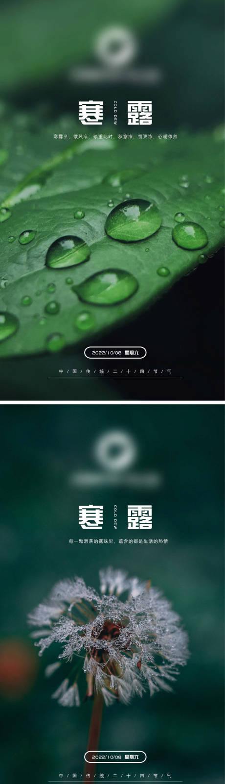源文件下載【寒露節氣海報】編號：50240012433247772