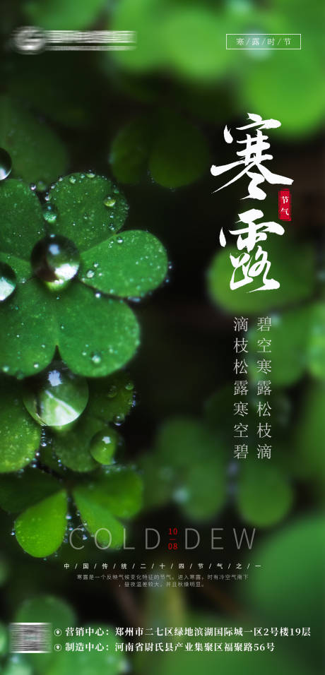 源文件下载【寒露海报】编号：81800012489873785