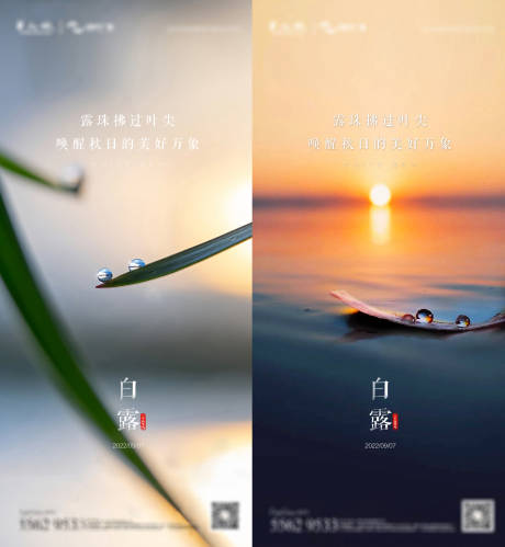 源文件下载【白露海报】编号：55590012088642498