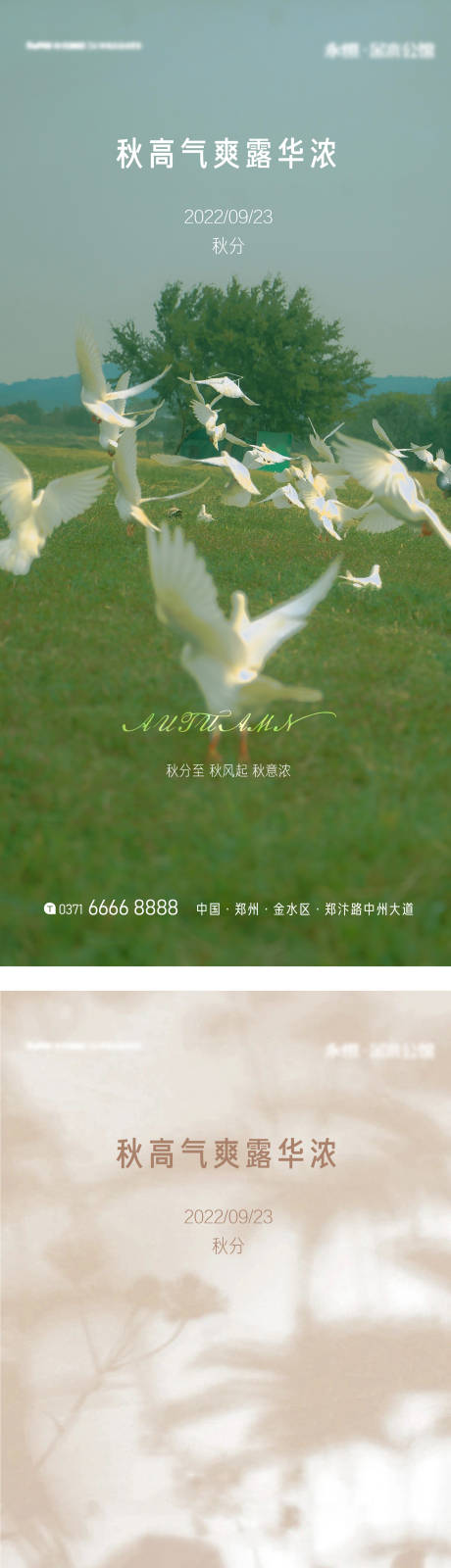 源文件下載【秋分節氣系列海報】編號：98730012319508587