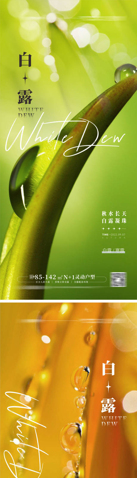 源文件下载【享设计】搜索编号：72300011984877565【地产白露海报】