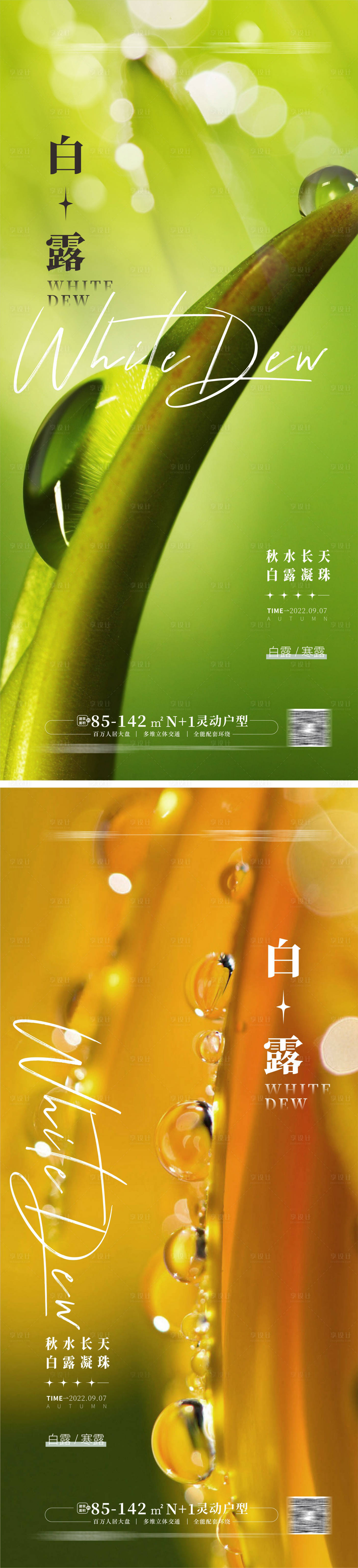 源文件下载【享设计】搜索编号：72300011984877565【地产白露海报】