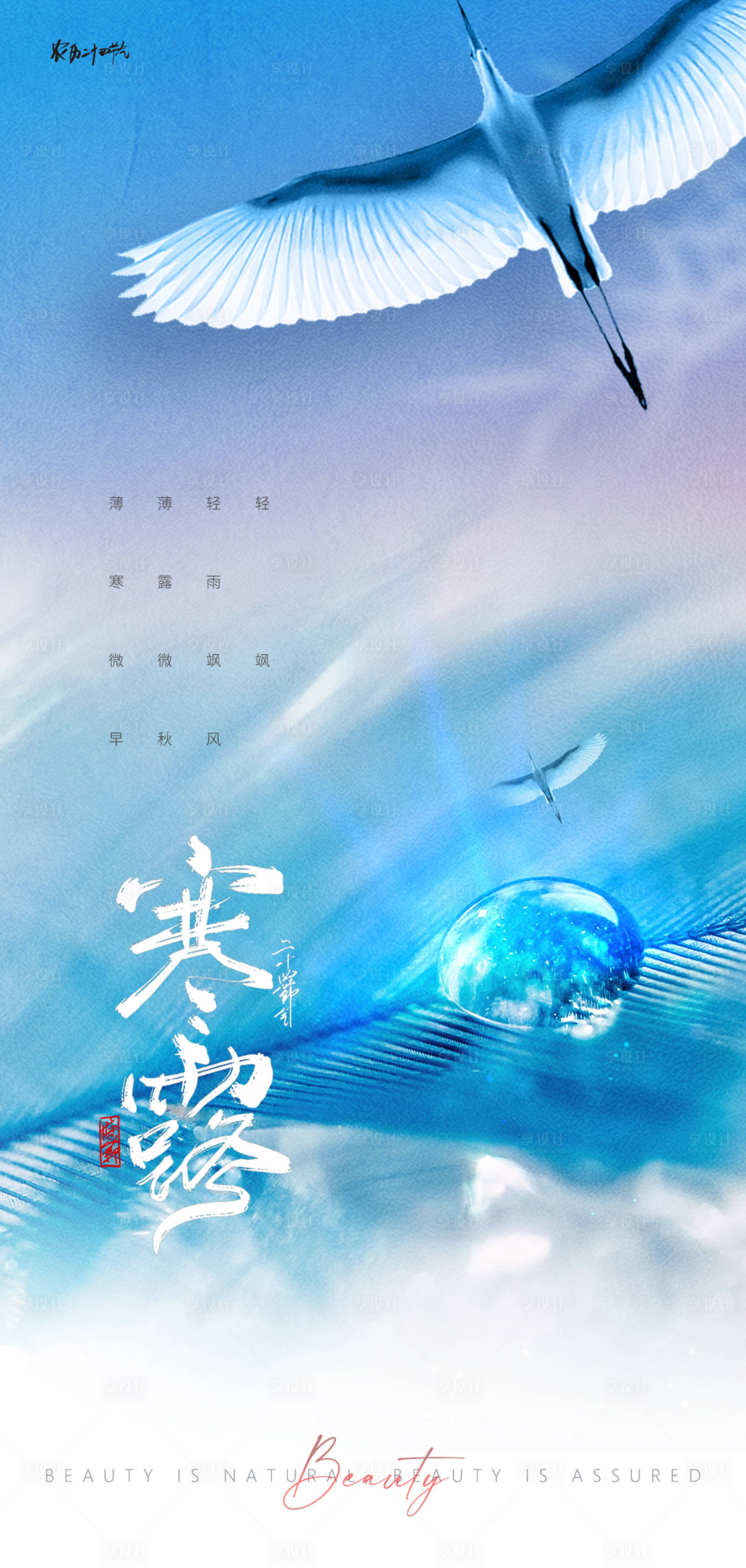 源文件下载【享设计】搜索编号：94720012103996970【寒露节气海报】