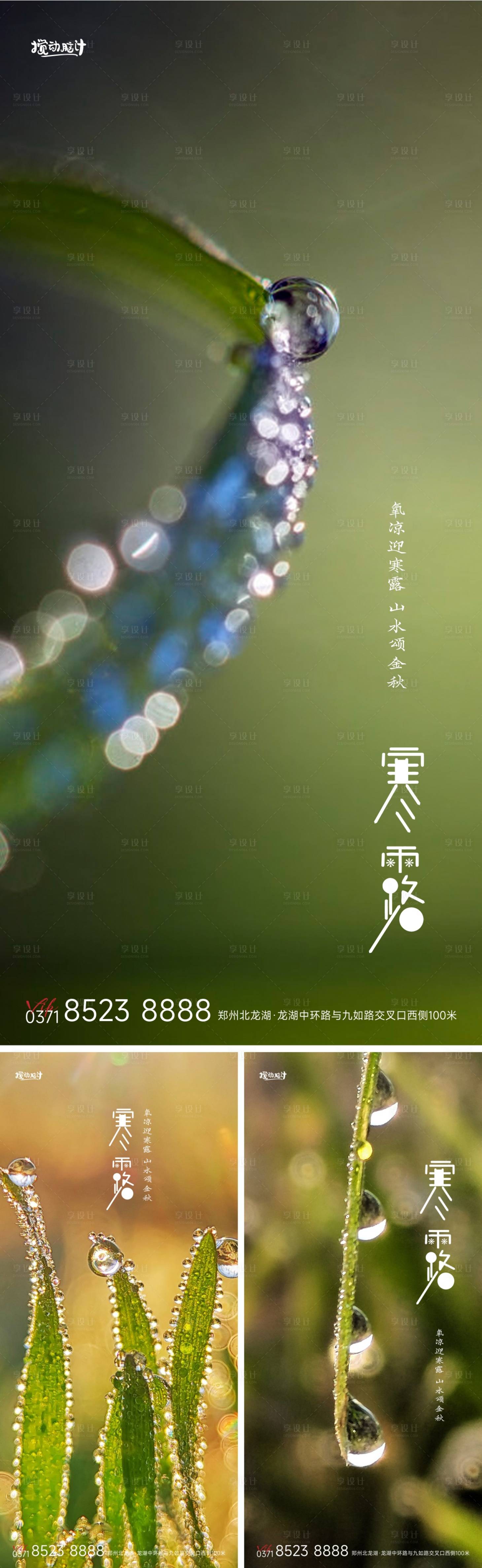 源文件下载【寒露节气海报】编号：76350012428973629