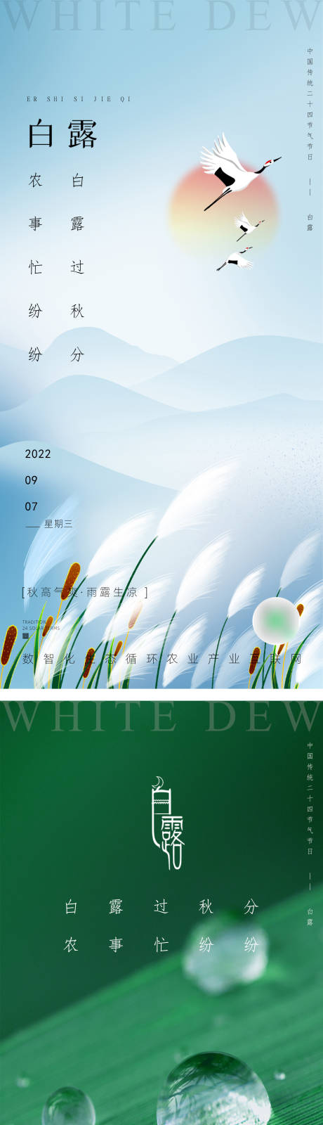 源文件下载【白露节气海报】编号：97270012064664189