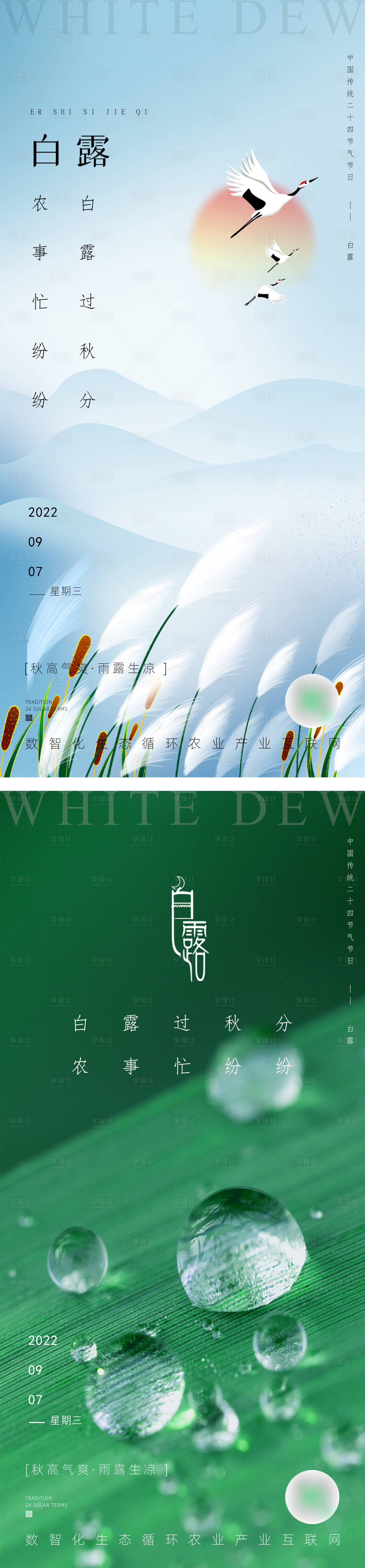 源文件下载【享设计】搜索编号：97270012064664189【白露节气海报】