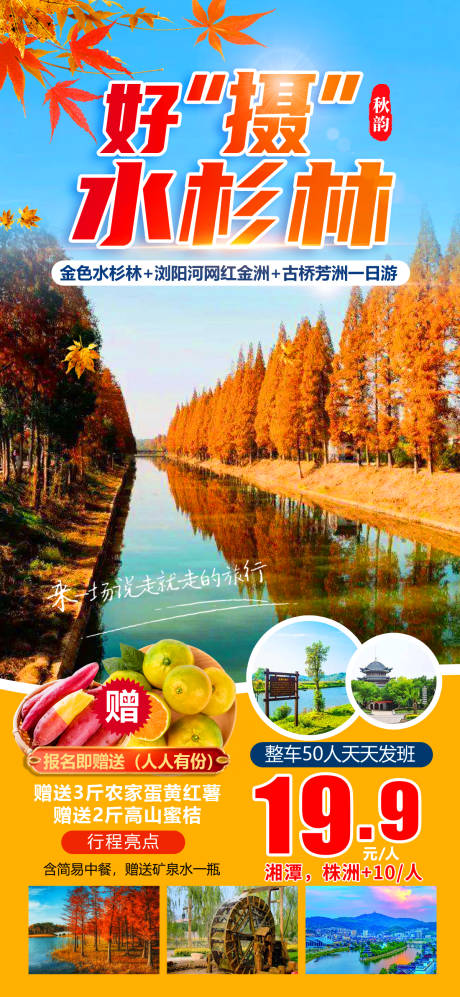 源文件下載【享設(shè)計(jì)】搜索編號：66050012336181003【好攝紅杉林旅游海報】