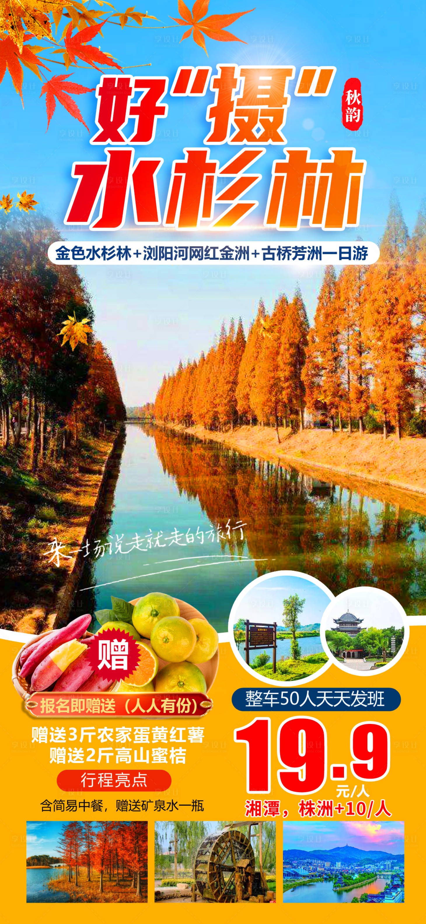 源文件下载【享设计】搜索编号：66050012336181003【好摄红杉林旅游海报】