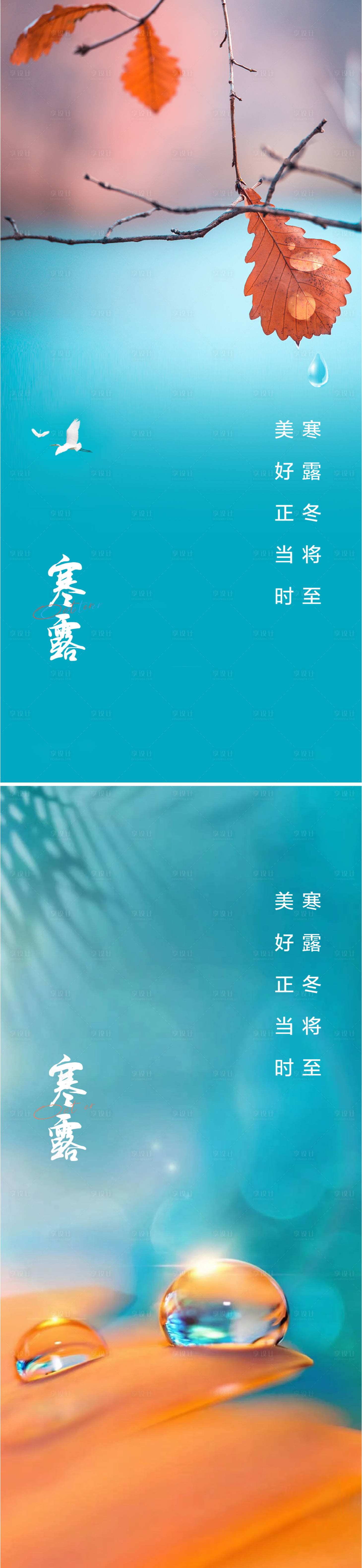 源文件下载【享设计】搜索编号：62360012052432253【寒露海报】