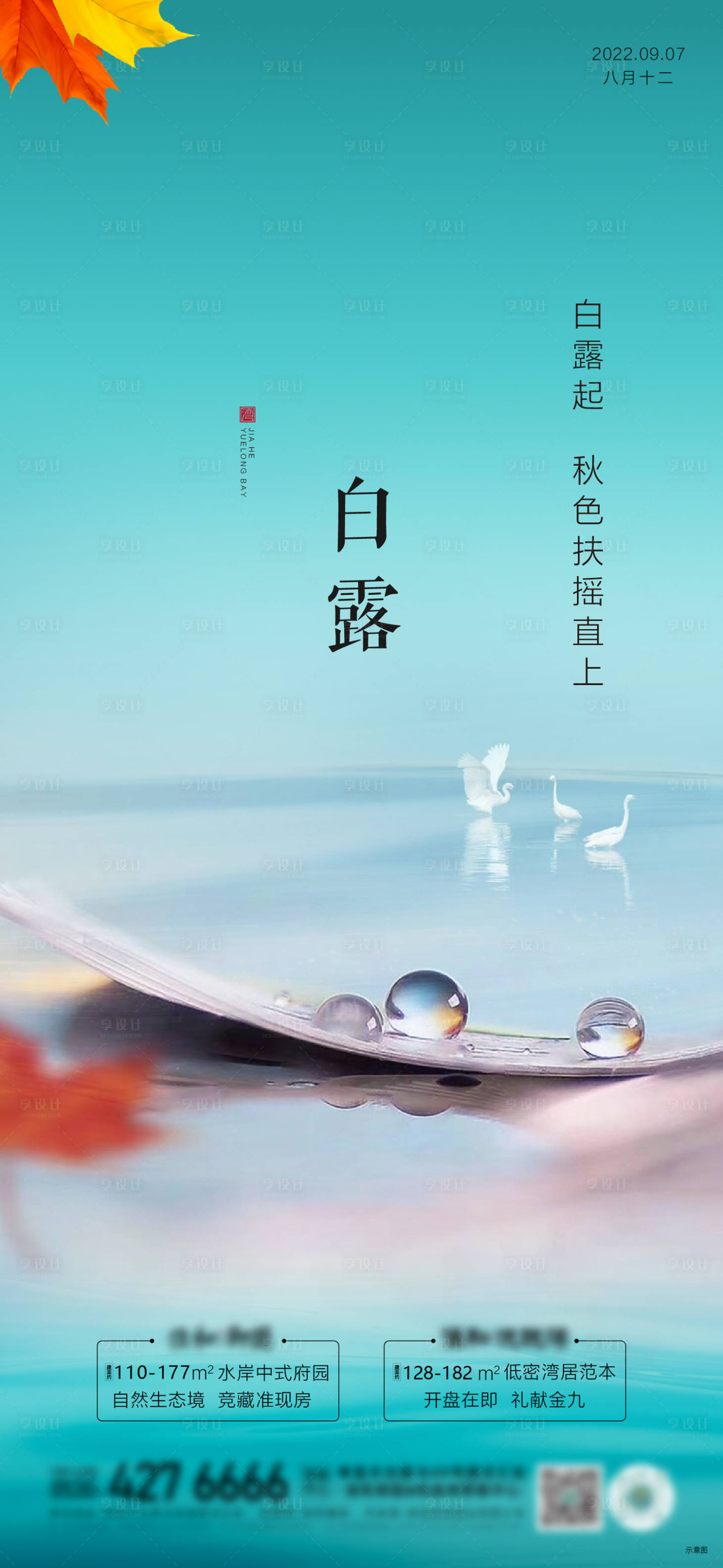 源文件下載【享設(shè)計】搜索編號：76880012070699752【白露節(jié)氣海報】