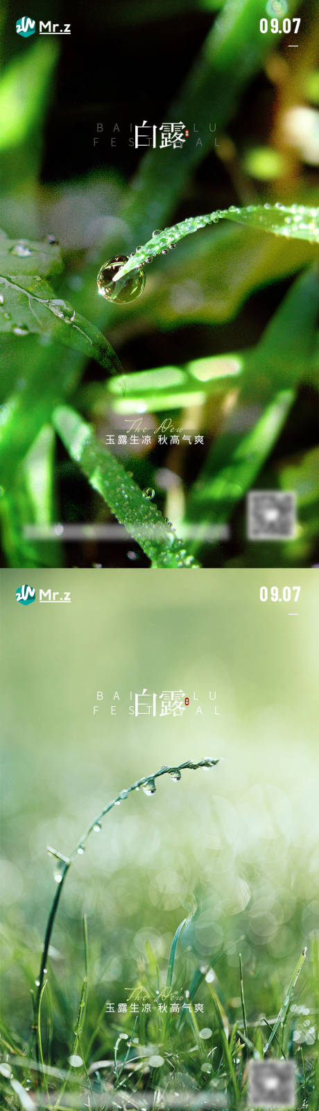 源文件下载【白露节气系列海报】编号：75320012070137545