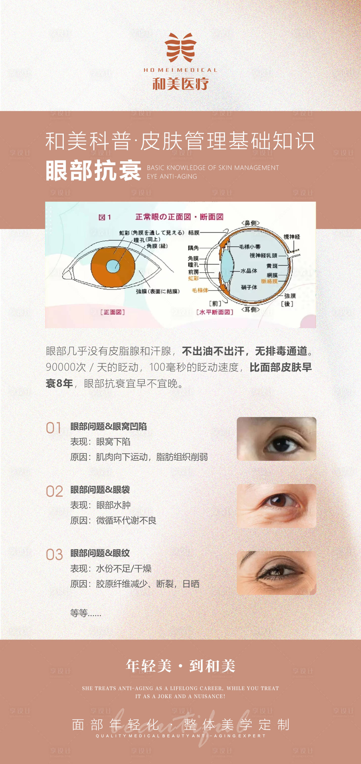 源文件下载【享设计】搜索编号：54190012121891818【眼部抗衰科普海报】
