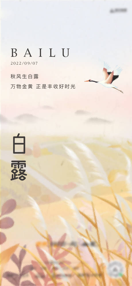 源文件下載【地產(chǎn)白露節(jié)氣海報】編號：95340012061534356